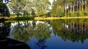 Brodsky rybnik